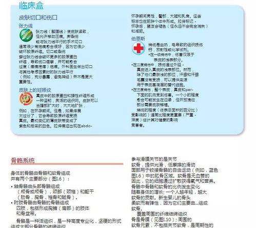 资料 中英文版临床解剖学精要,备考和自我提升两手抓