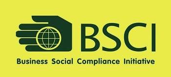 BSCI审核后需要提交英文CAP(改进计划)怎么办?谁可以代写英文CAP?