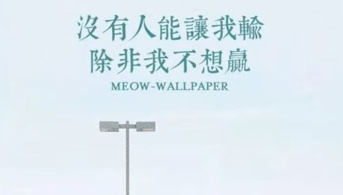 Striving for Excellence: From a Non-Prestigious University to Postgraduate Admission at Jinan University with National Awards